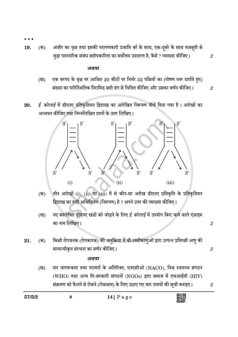 Biology (जीव विज्ञान) 2024-2025 - CBSE 12th - Class 12 [कक्षा १२] - CBSE (Central Board of Secondary Education) question paper with PDF download