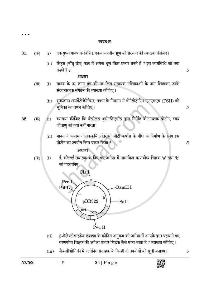 Biology (जीव विज्ञान) 2024-2025 - CBSE 12th - Class 12 [कक्षा १२] - CBSE (Central Board of Secondary Education) question paper with PDF download