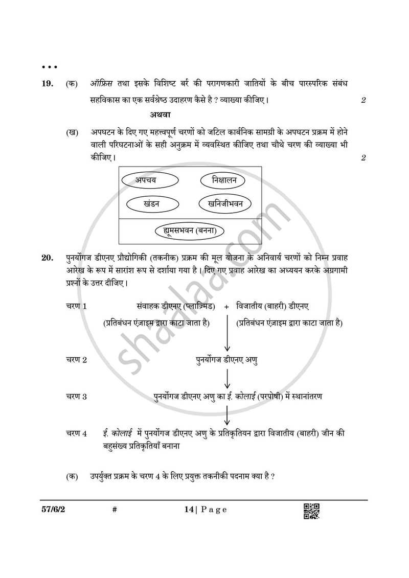 Biology (जीव विज्ञान) 2024-2025 - CBSE 12th - Class 12 [कक्षा १२] - CBSE (Central Board of Secondary Education) question paper with PDF download