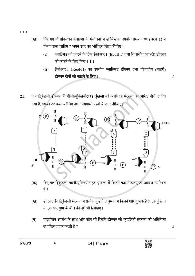 Biology (जीव विज्ञान) 2024-2025 - CBSE 12th - Class 12 [कक्षा १२] - CBSE (Central Board of Secondary Education) question paper with PDF download