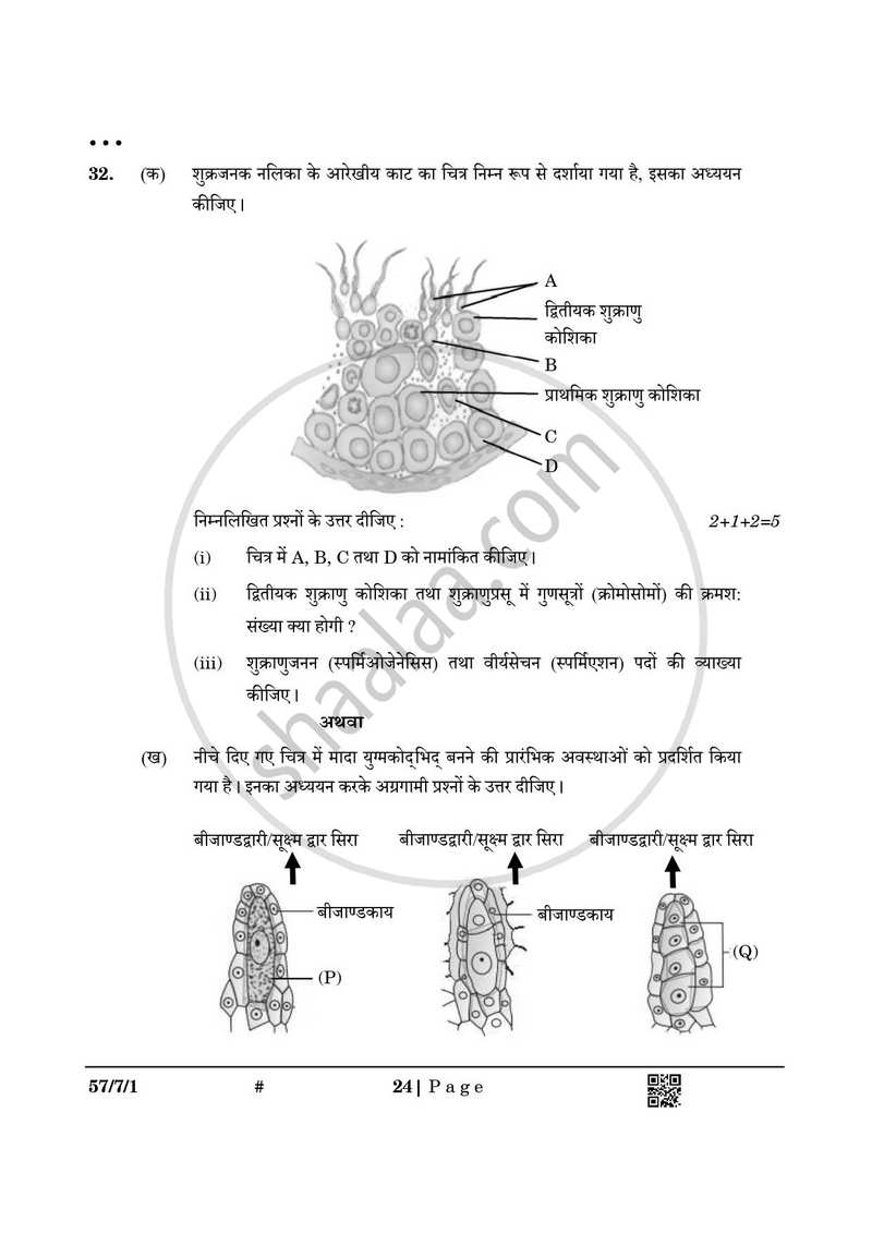 Biology (जीव विज्ञान) 2024-2025 - CBSE 12th - Class 12 [कक्षा १२] - CBSE (Central Board of Secondary Education) question paper with PDF download