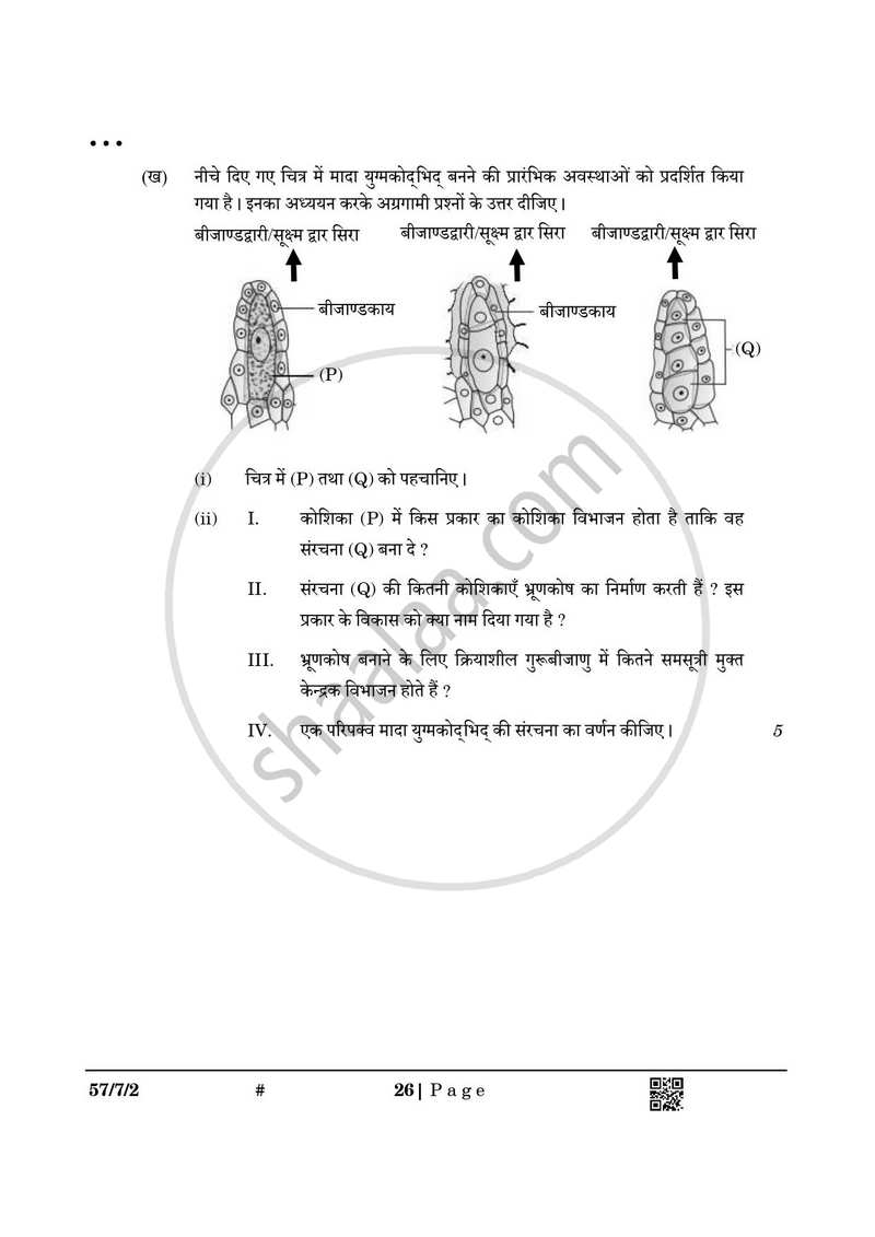 Biology (जीव विज्ञान) 2024-2025 - CBSE 12th - Class 12 [कक्षा १२] - CBSE (Central Board of Secondary Education) question paper with PDF download