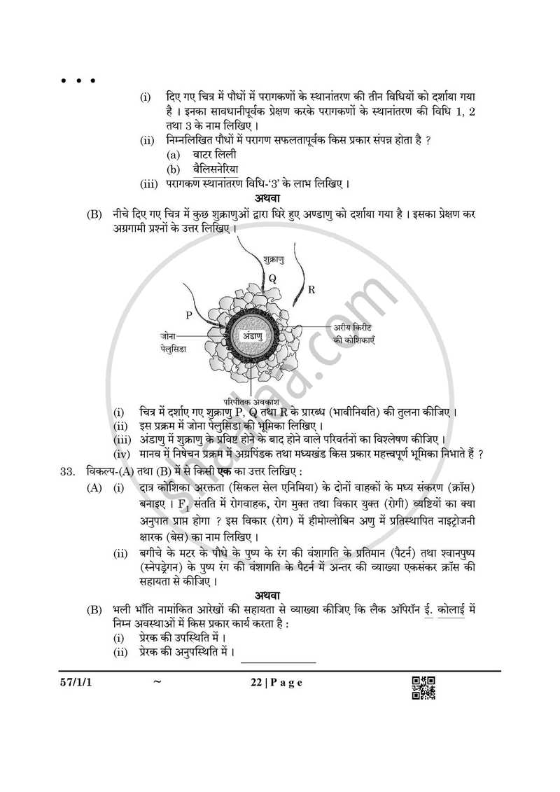 Biology (जीव विज्ञान) 2024-2025 - CBSE 12th - Class 12 [कक्षा १२] - CBSE (Central Board of Secondary Education) question paper with PDF download