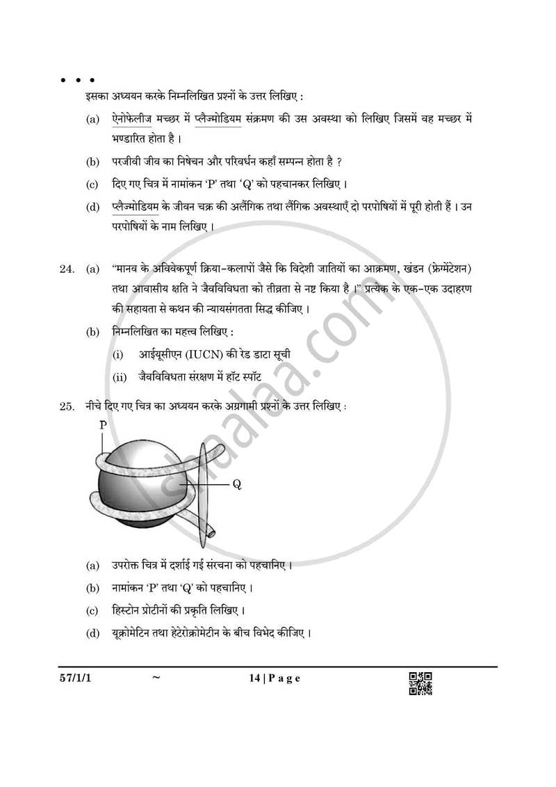 Biology (जीव विज्ञान) 2024-2025 - CBSE 12th - Class 12 [कक्षा १२] - CBSE (Central Board of Secondary Education) question paper with PDF download