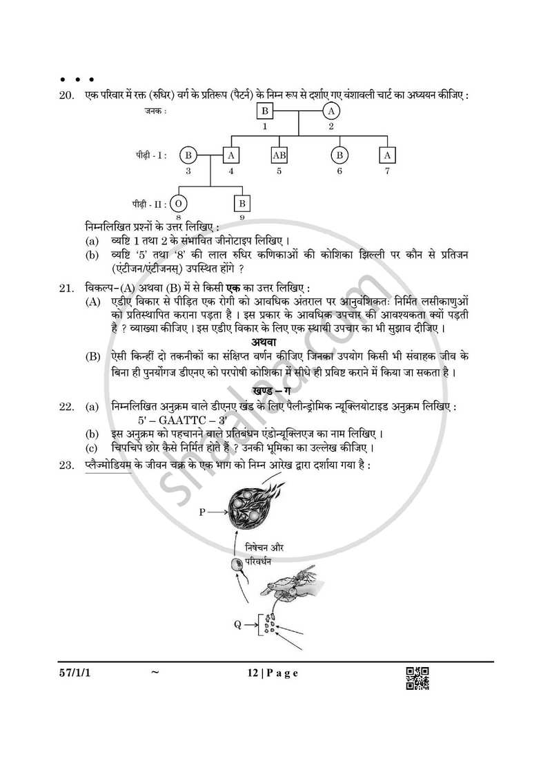 Biology (जीव विज्ञान) 2024-2025 - CBSE 12th - Class 12 [कक्षा १२] - CBSE (Central Board of Secondary Education) question paper with PDF download