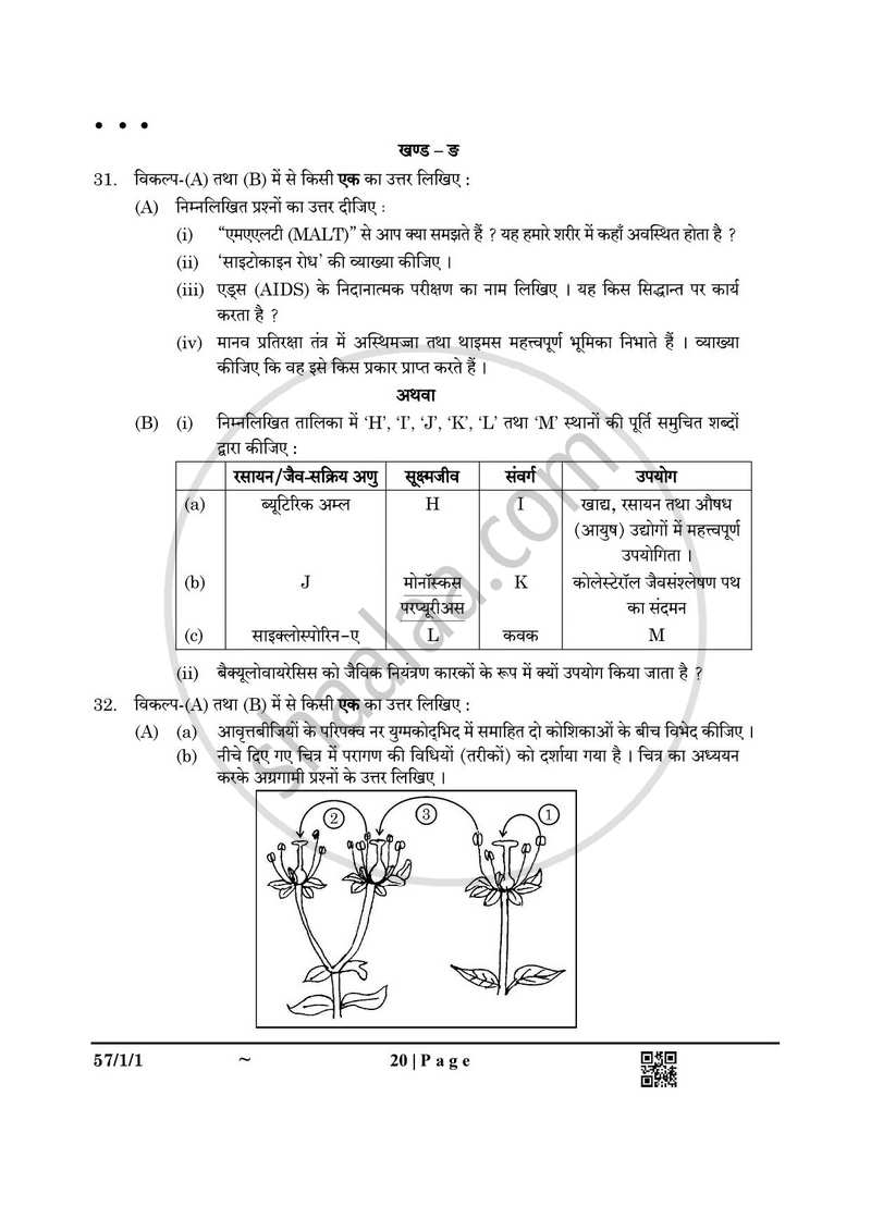 Biology (जीव विज्ञान) 2024-2025 - CBSE 12th - Class 12 [कक्षा १२] - CBSE (Central Board of Secondary Education) question paper with PDF download