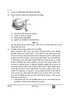 Biology (जीव विज्ञान) 2024-2025 - CBSE 12th - Class 12 [कक्षा १२] - CBSE (Central Board of Secondary Education) question paper with PDF download