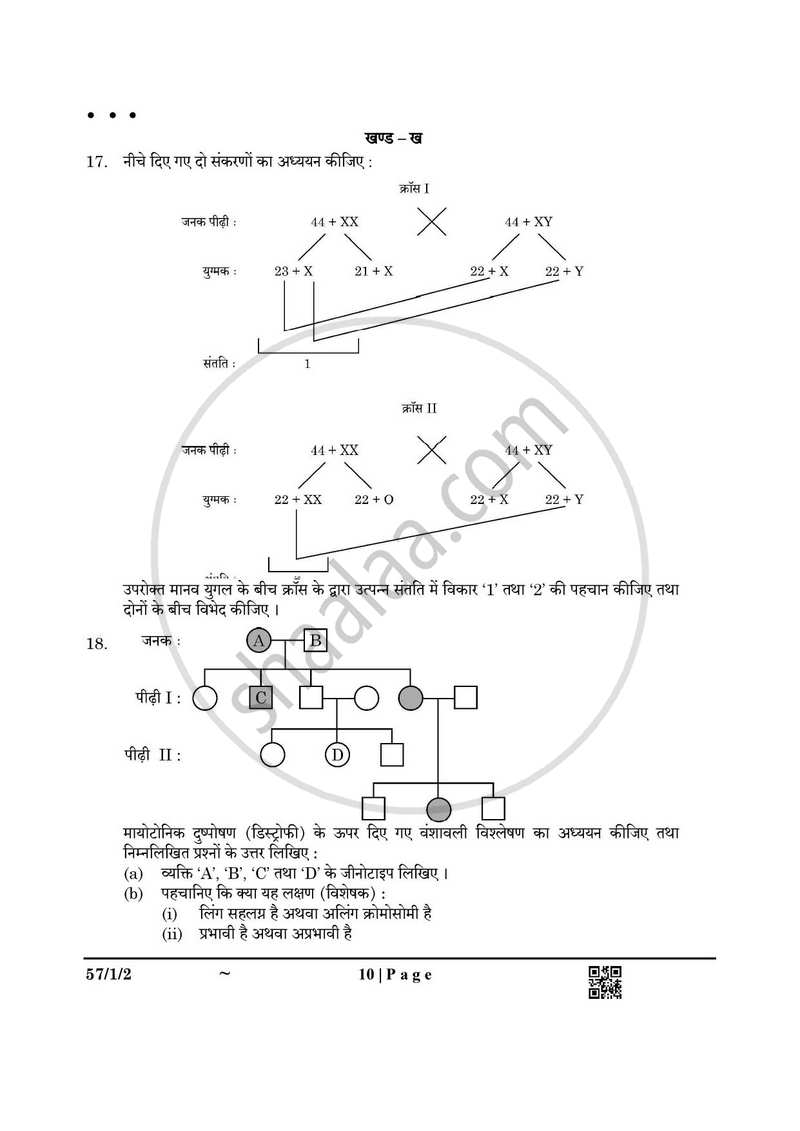 Biology (जीव विज्ञान) 2024-2025 - CBSE 12th - Class 12 [कक्षा १२] - CBSE (Central Board of Secondary Education) question paper with PDF download