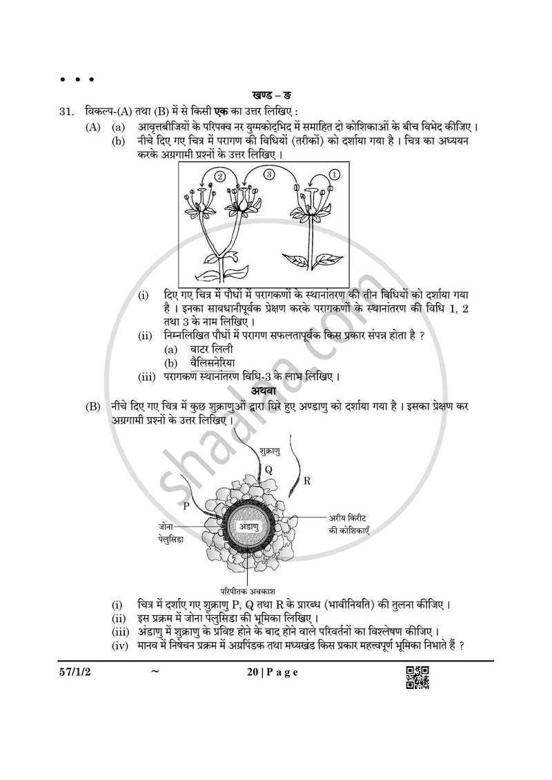 Biology (जीव विज्ञान) 2024-2025 - CBSE 12th - Class 12 [कक्षा १२] - CBSE (Central Board of Secondary Education) question paper with PDF download