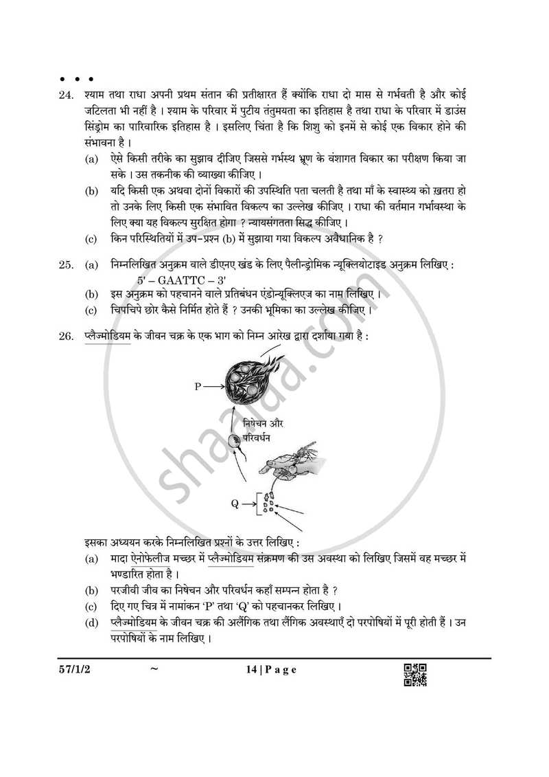 Biology (जीव विज्ञान) 2024-2025 - CBSE 12th - Class 12 [कक्षा १२] - CBSE (Central Board of Secondary Education) question paper with PDF download