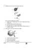 Biology (जीव विज्ञान) 2024-2025 - CBSE 12th - Class 12 [कक्षा १२] - CBSE (Central Board of Secondary Education) question paper with PDF download