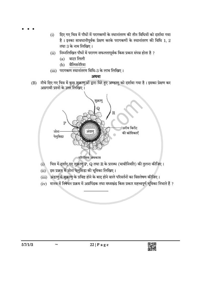 Biology (जीव विज्ञान) 2024-2025 - CBSE 12th - Class 12 [कक्षा १२] - CBSE (Central Board of Secondary Education) question paper with PDF download