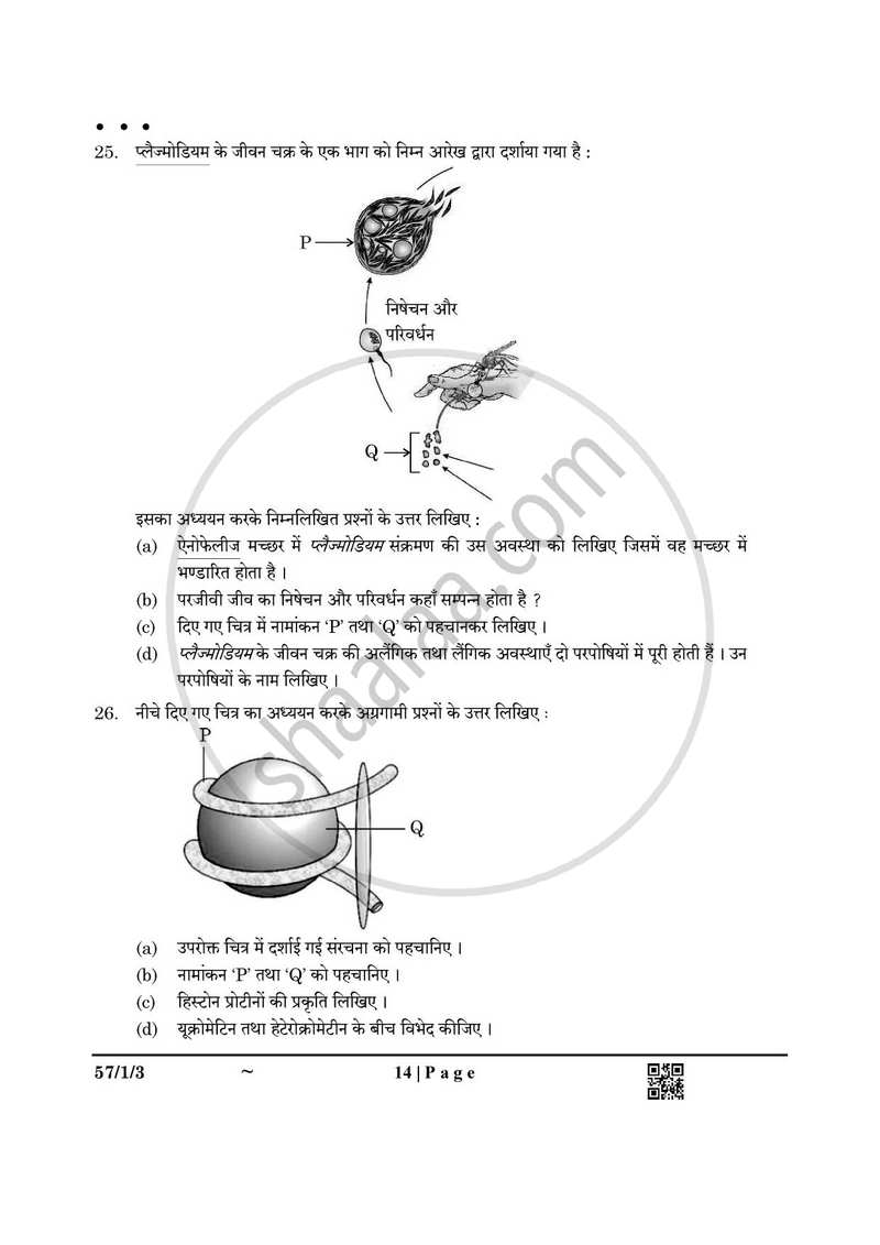 Biology (जीव विज्ञान) 2024-2025 - CBSE 12th - Class 12 [कक्षा १२] - CBSE (Central Board of Secondary Education) question paper with PDF download