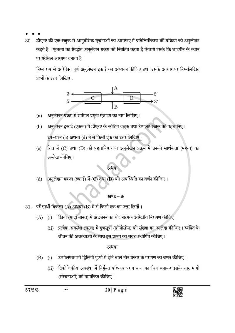 Biology (जीव विज्ञान) 2024-2025 - CBSE 12th - Class 12 [कक्षा १२] - CBSE (Central Board of Secondary Education) question paper with PDF download