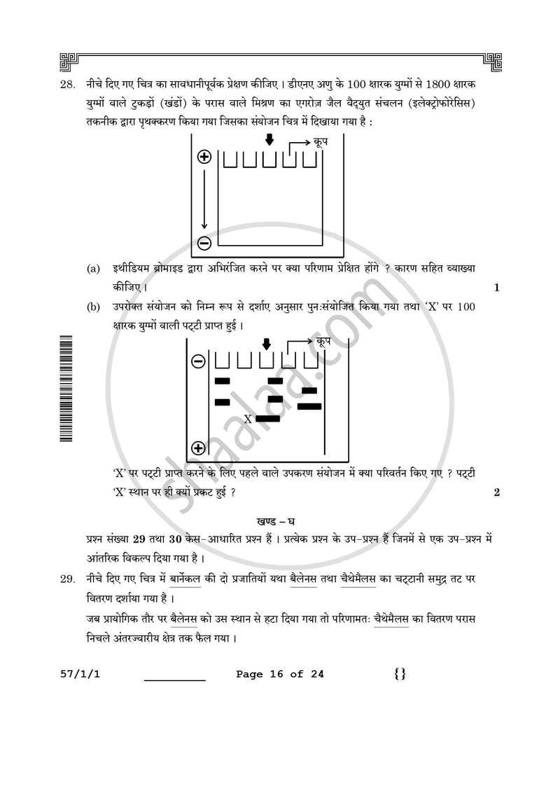 Biology (जीव विज्ञान) 2025-2026 - CBSE 12th - Class 12 [कक्षा १२] - CBSE (Central Board of Secondary Education) question paper with PDF download