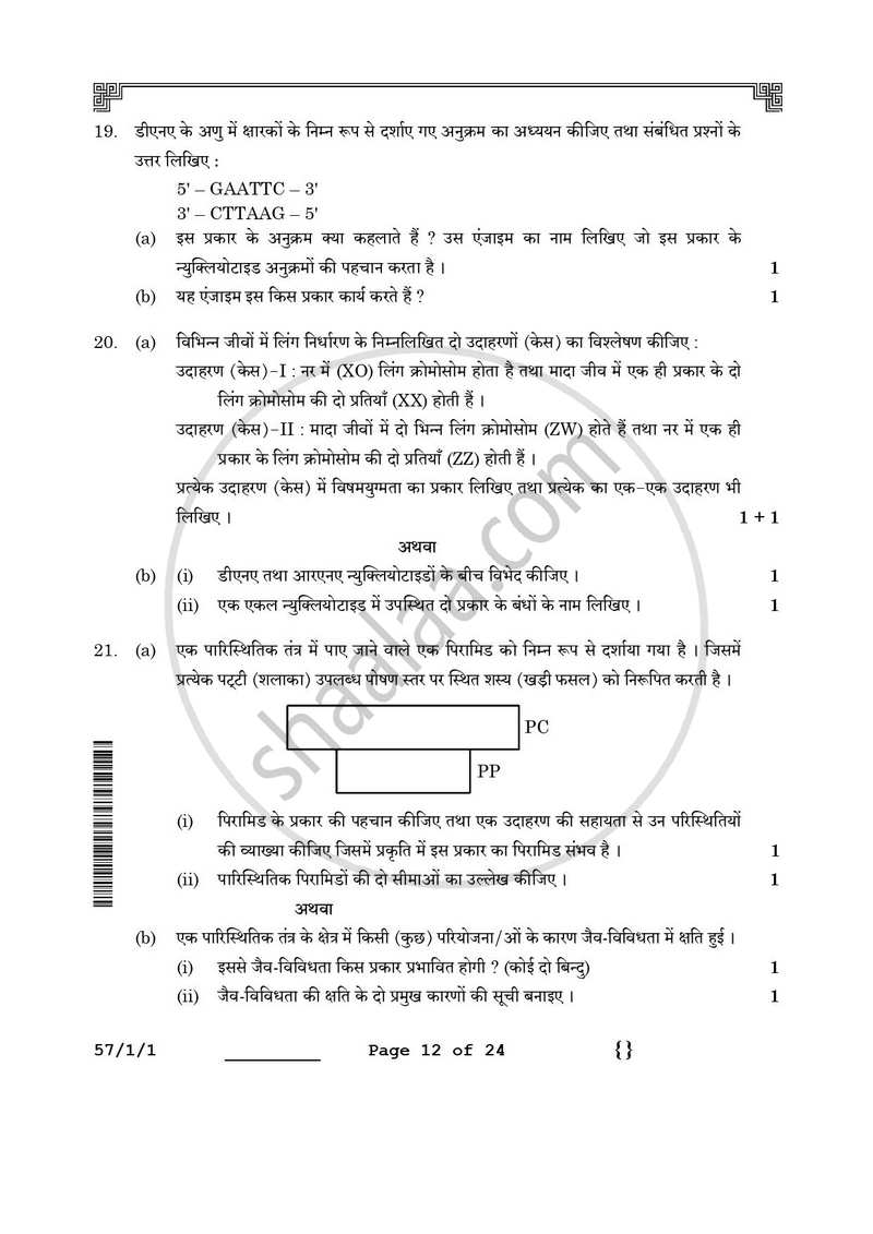 Biology (जीव विज्ञान) 2025-2026 - CBSE 12th - Class 12 [कक्षा १२] - CBSE (Central Board of Secondary Education) question paper with PDF download