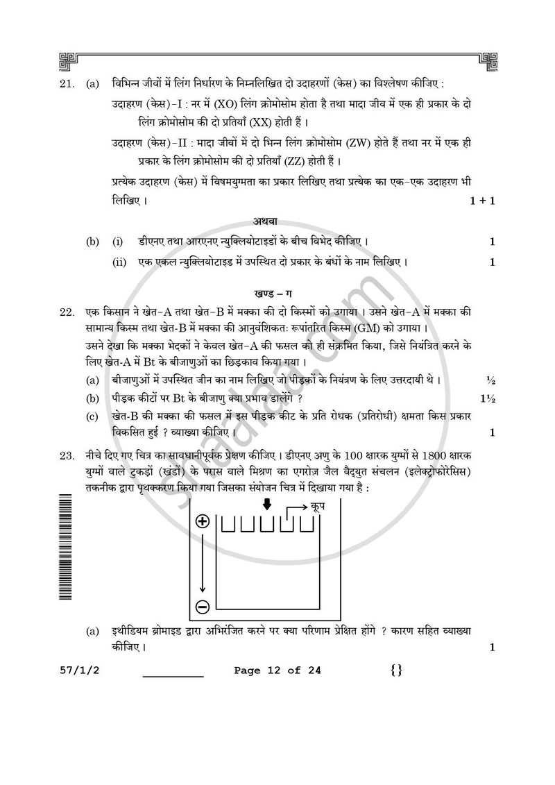 Biology (जीव विज्ञान) 2025-2026 - CBSE 12th - Class 12 [कक्षा १२] - CBSE (Central Board of Secondary Education) question paper with PDF download