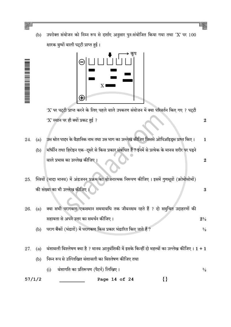 Biology (जीव विज्ञान) 2025-2026 - CBSE 12th - Class 12 [कक्षा १२] - CBSE (Central Board of Secondary Education) question paper with PDF download