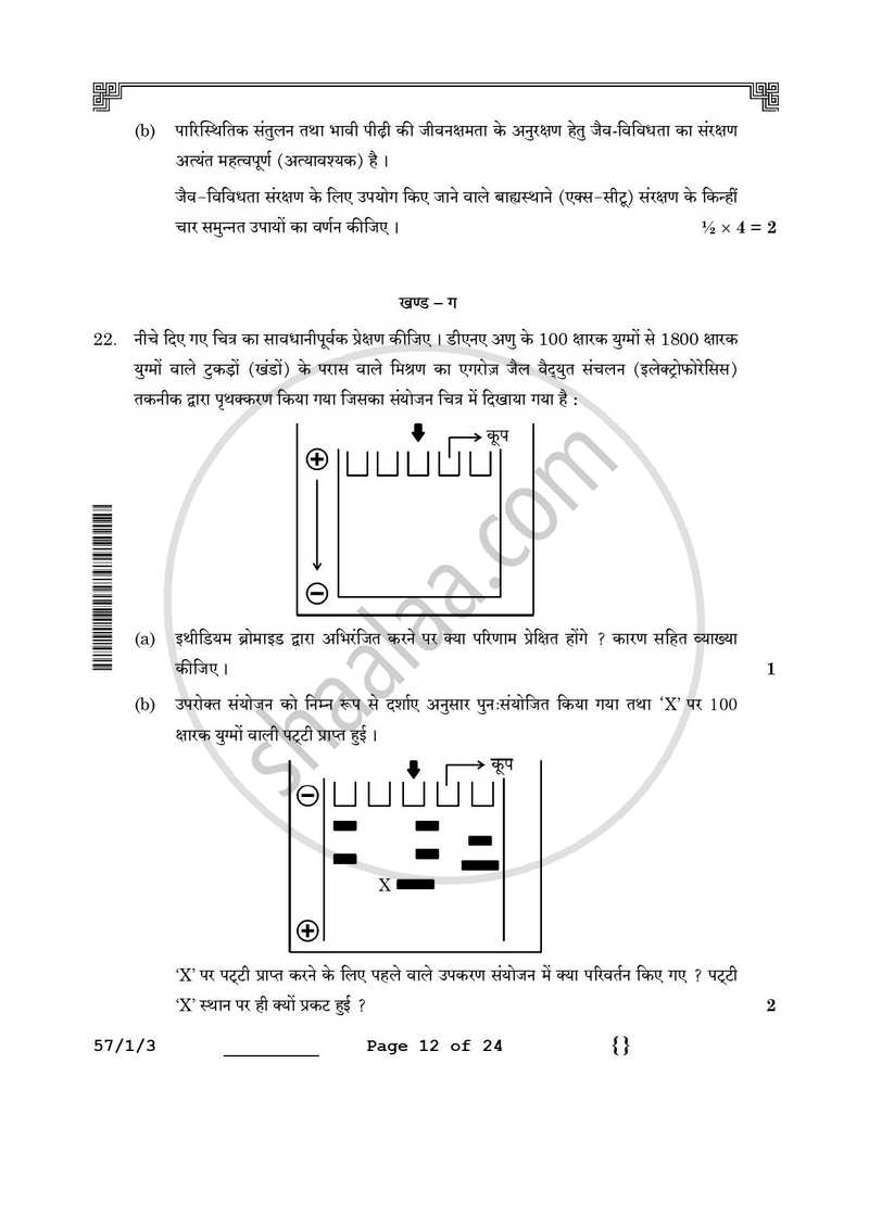 Biology (जीव विज्ञान) 2025-2026 - CBSE 12th - Class 12 [कक्षा १२] - CBSE (Central Board of Secondary Education) question paper with PDF download
