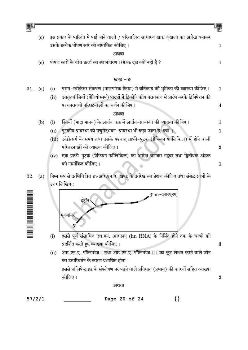Biology (जीव विज्ञान) 2025-2026 - CBSE 12th - Class 12 [कक्षा १२] - CBSE (Central Board of Secondary Education) question paper with PDF download