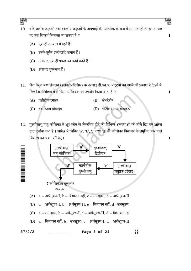 Biology (जीव विज्ञान) 2025-2026 - CBSE 12th - Class 12 [कक्षा १२] - CBSE (Central Board of Secondary Education) question paper with PDF download
