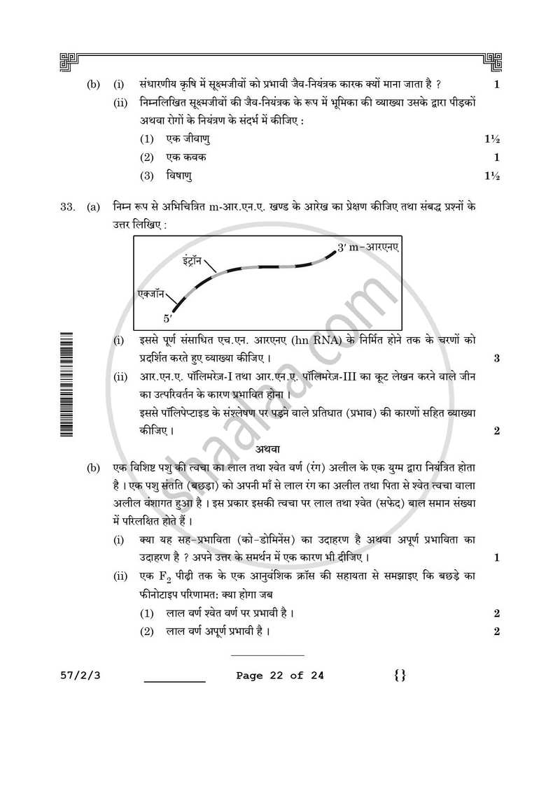 Biology (जीव विज्ञान) 2025-2026 - CBSE 12th - Class 12 [कक्षा १२] - CBSE (Central Board of Secondary Education) question paper with PDF download
