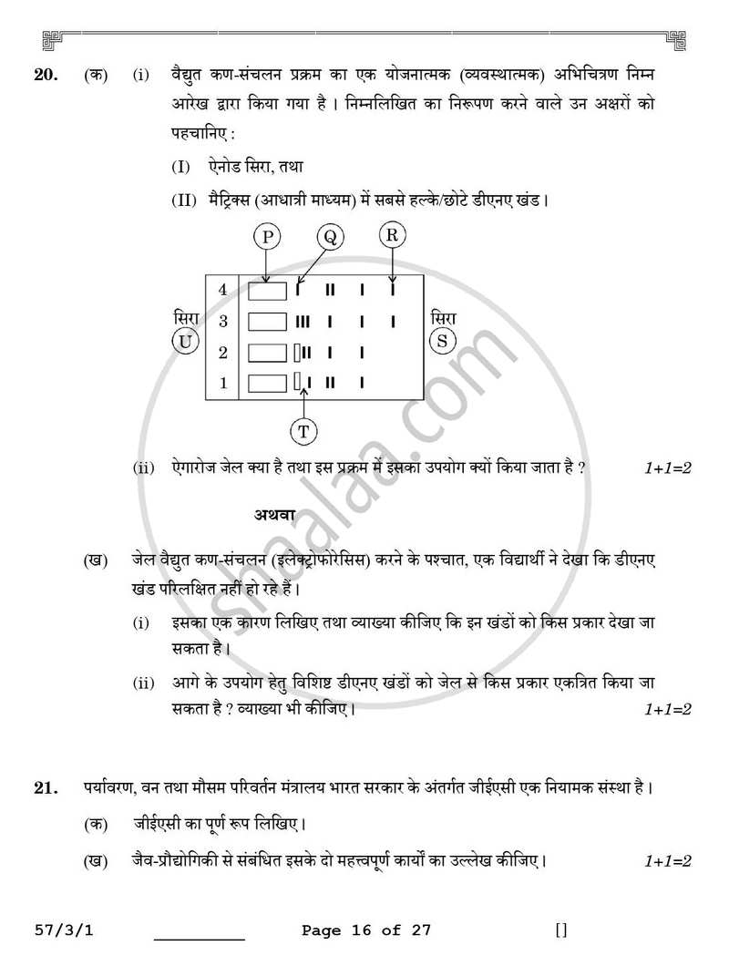 Biology (जीव विज्ञान) 2025-2026 - CBSE 12th - Class 12 [कक्षा १२] - CBSE (Central Board of Secondary Education) question paper with PDF download