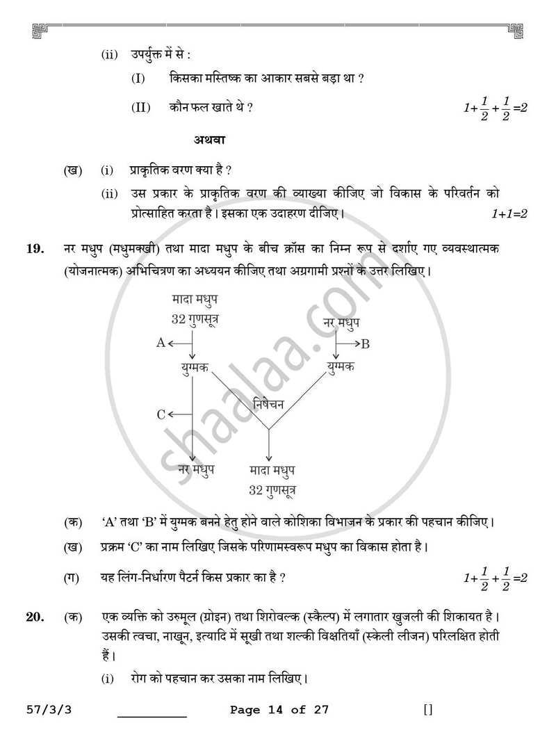 Biology (जीव विज्ञान) 2025-2026 - CBSE 12th - Class 12 [कक्षा १२] - CBSE (Central Board of Secondary Education) question paper with PDF download