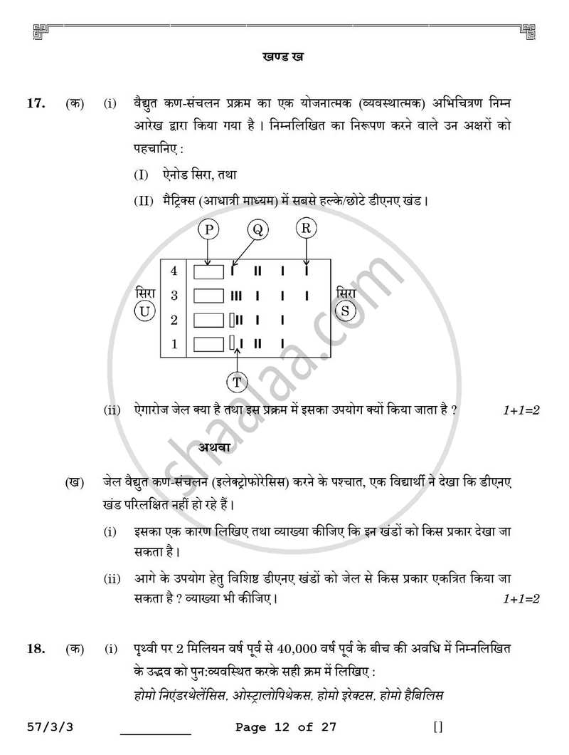 Biology (जीव विज्ञान) 2025-2026 - CBSE 12th - Class 12 [कक्षा १२] - CBSE (Central Board of Secondary Education) question paper with PDF download