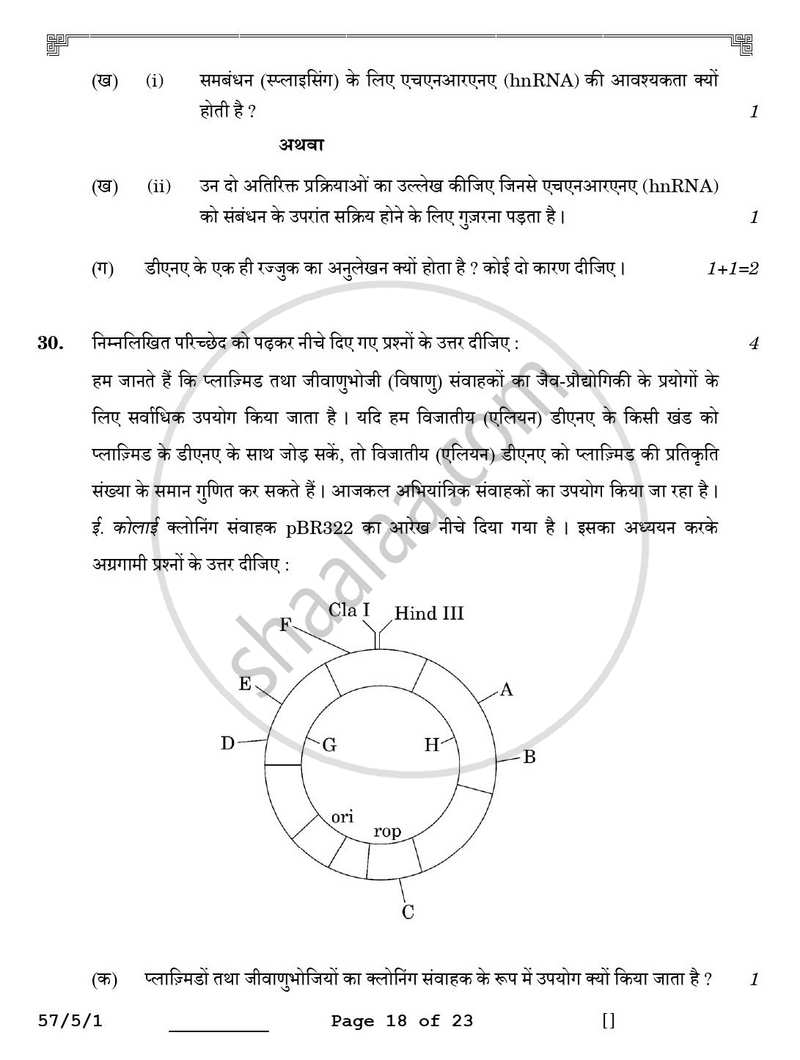 Biology (जीव विज्ञान) 2025-2026 - CBSE 12th - Class 12 [कक्षा १२] - CBSE (Central Board of Secondary Education) question paper with PDF download