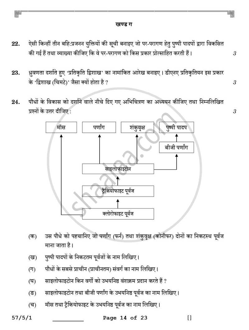 Biology (जीव विज्ञान) 2025-2026 - CBSE 12th - Class 12 [कक्षा १२] - CBSE (Central Board of Secondary Education) question paper with PDF download