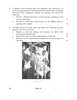 Graphics (History of Indian Art) 2024-2025 - CBSE 12th - Class 12 - CBSE (Central Board of Secondary Education) question paper with PDF download