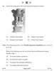 History 2024-2025 - CBSE 12th - Class 12 - CBSE (Central Board of Secondary Education) question paper with PDF download