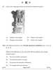 History 2024-2025 - CBSE 12th - Class 12 - CBSE (Central Board of Secondary Education) question paper with PDF download