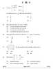Mathematics 2024-2025 - CBSE 12th - Class 12 - CBSE (Central Board of Secondary Education) question paper with PDF download