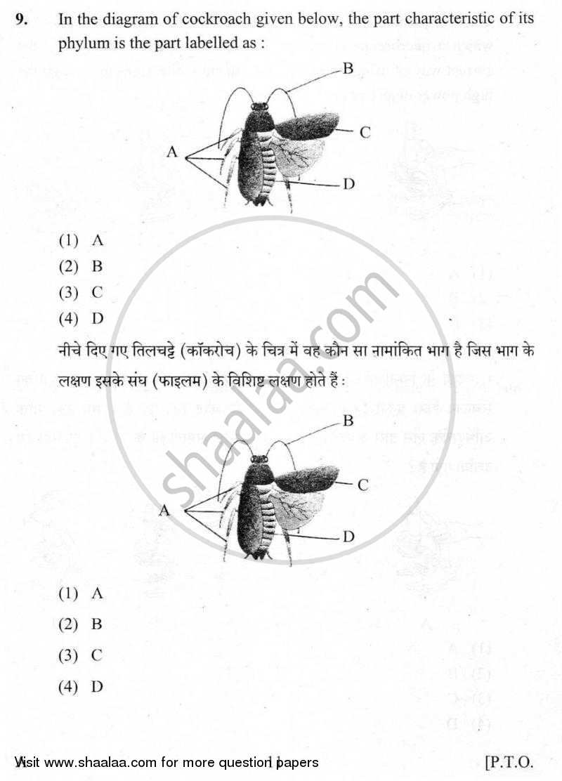 Practical Skills in Science 2009-2010 Class 10 - CBSE (Central Board of Secondary Education) question paper with PDF download