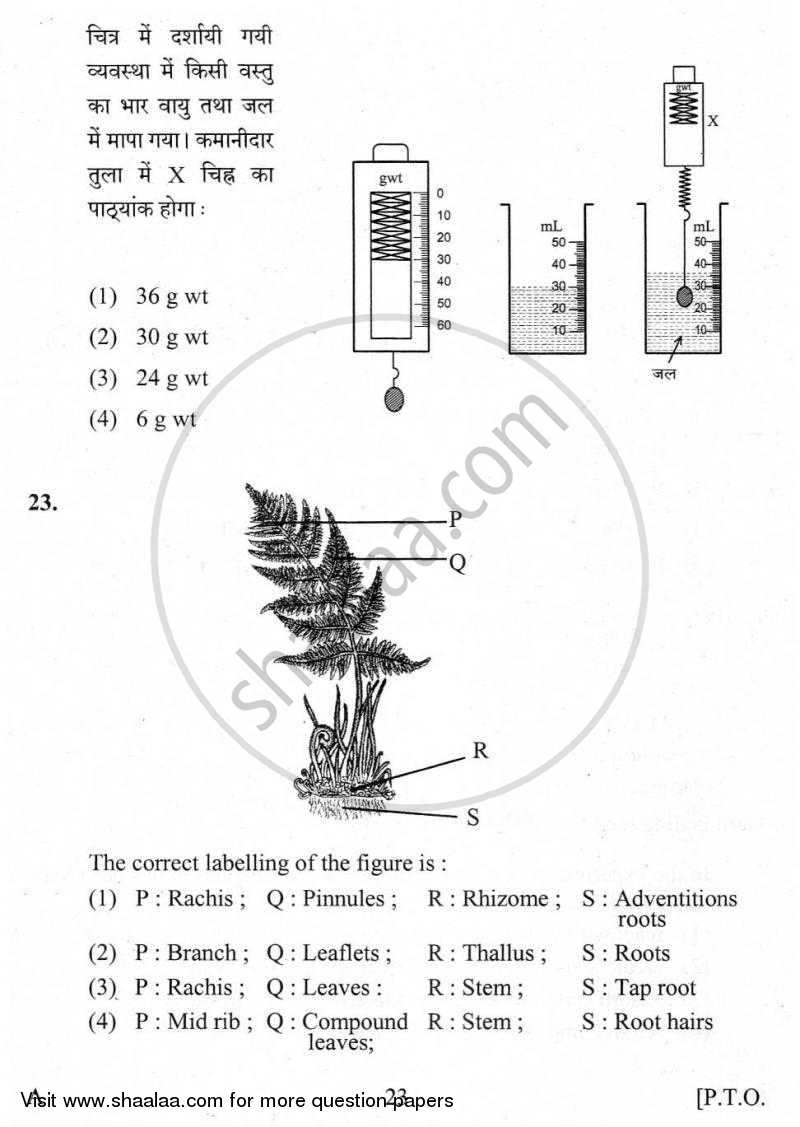 Practical Skills in Science 2009-2010 Class 10 - CBSE (Central Board of Secondary Education) question paper with PDF download