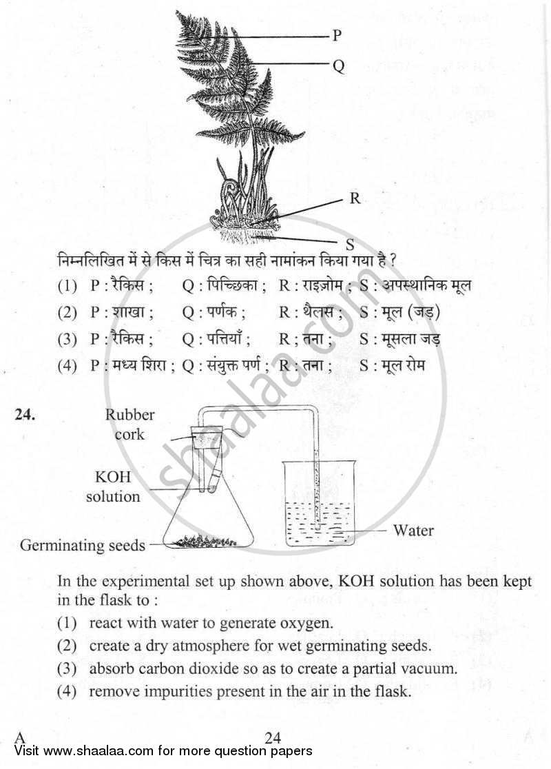 Practical Skills in Science 2009-2010 Class 10 - CBSE (Central Board of Secondary Education) question paper with PDF download