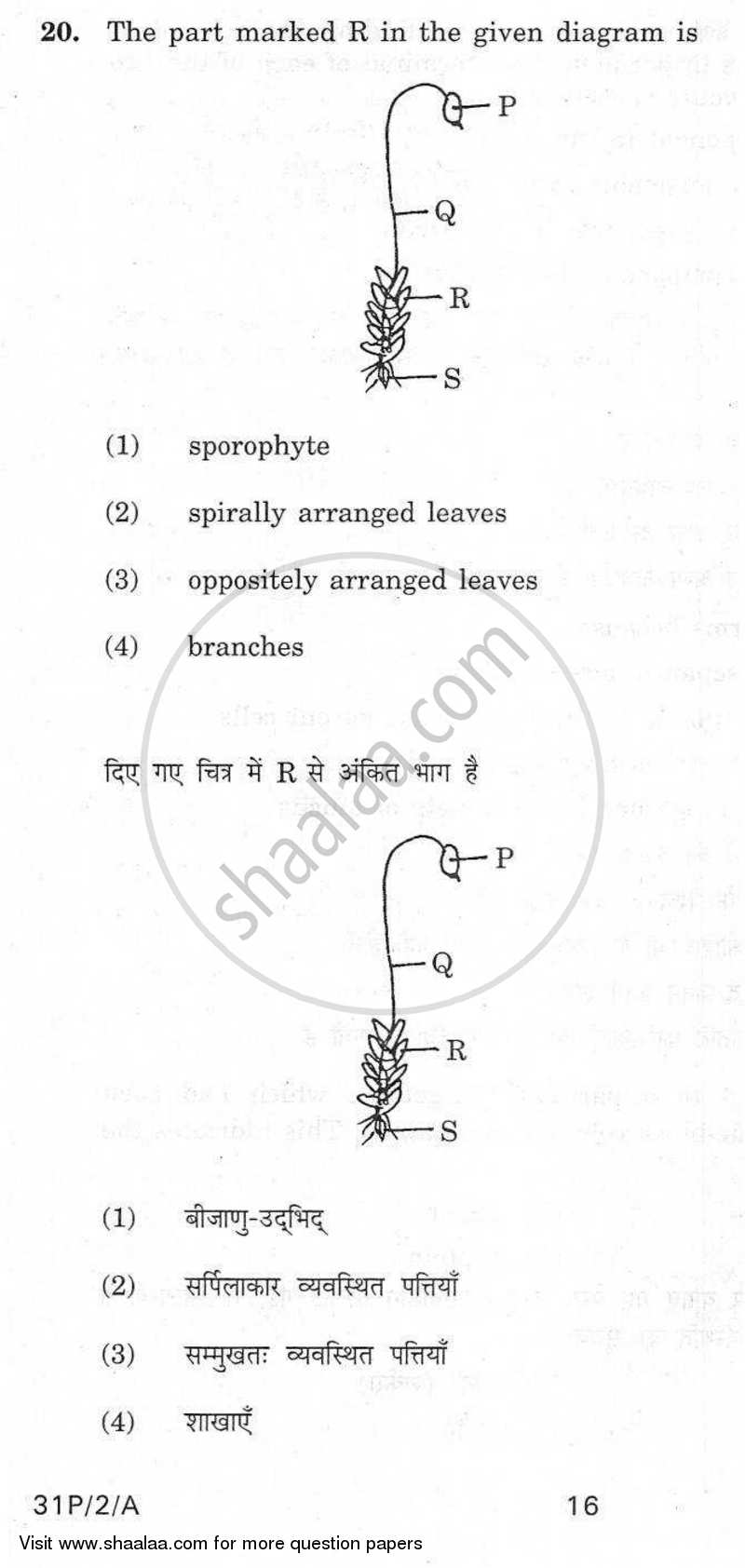 Practical Skills in Science 2009-2010 Class 10 - CBSE (Central Board of Secondary Education) question paper with PDF download