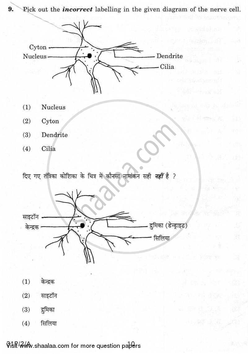 Practical Skills in Science 2009-2010 Class 10 - CBSE (Central Board of Secondary Education) question paper with PDF download