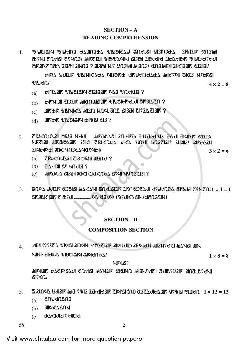 Rai 2017-2018 Class 10 - CBSE (Central Board of Secondary Education) question paper with PDF download