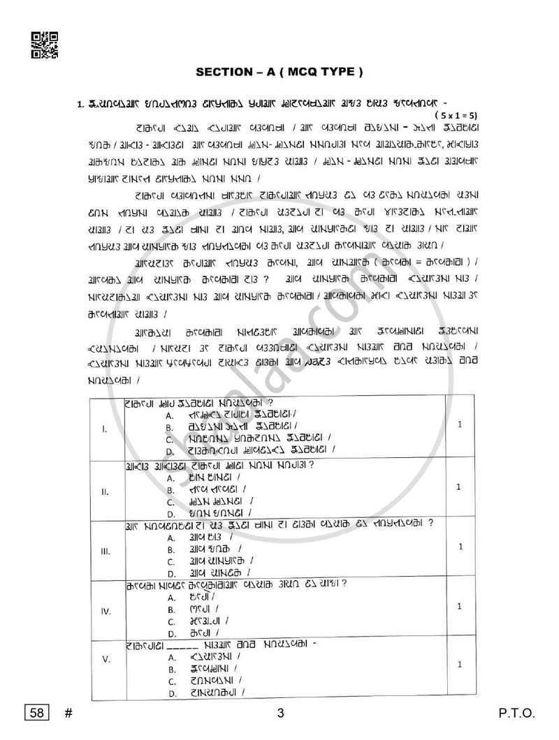 Rai 2024-2025 Class 10 - CBSE (Central Board of Secondary Education) question paper with PDF download