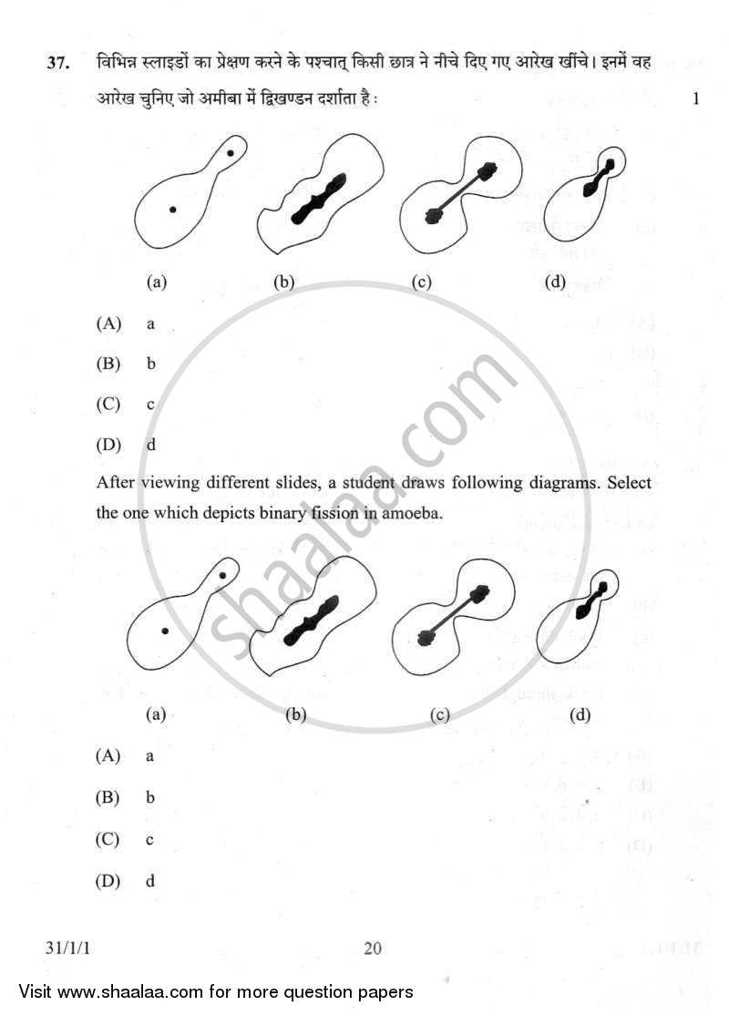Science 2011-2012 Class 10 - CBSE (Central Board of Secondary Education) question paper with PDF download