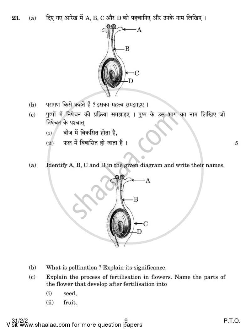 Science 2014-2015 Class 10 - CBSE (Central Board of Secondary Education) question paper with PDF download