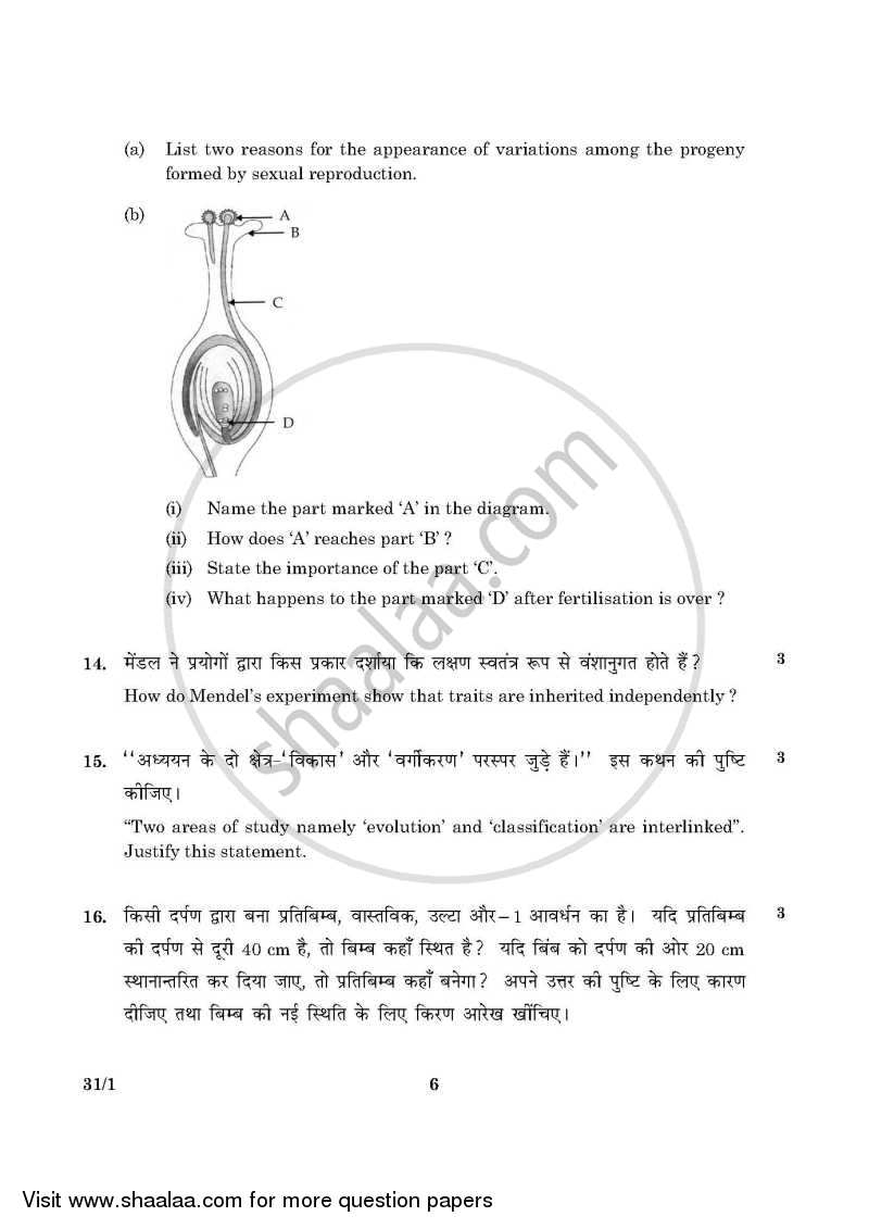 Science 2015-2016 Class 10 - CBSE (Central Board of Secondary Education) question paper with PDF download