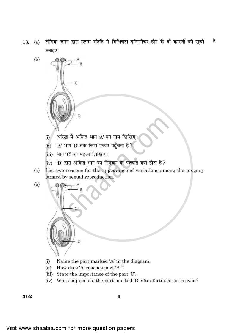 Science 2015-2016 Class 10 - CBSE (Central Board of Secondary Education) question paper with PDF download