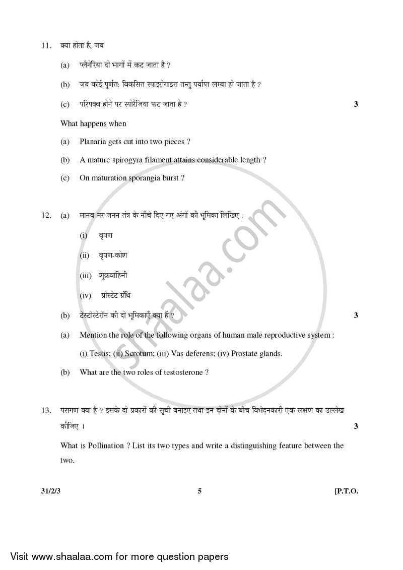 Science 2015-2016 Class 10 - CBSE (Central Board of Secondary Education) question paper with PDF download