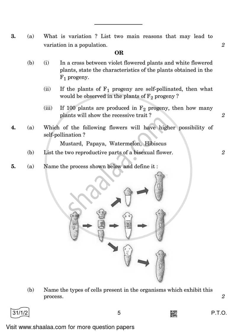 Science 2021-2022 Class 10 - CBSE (Central Board of Secondary Education) question paper with PDF download