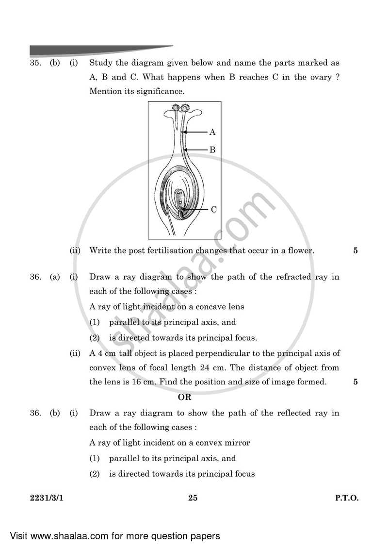 Science 2023-2024 Class 10 - CBSE (Central Board of Secondary Education) question paper with PDF download