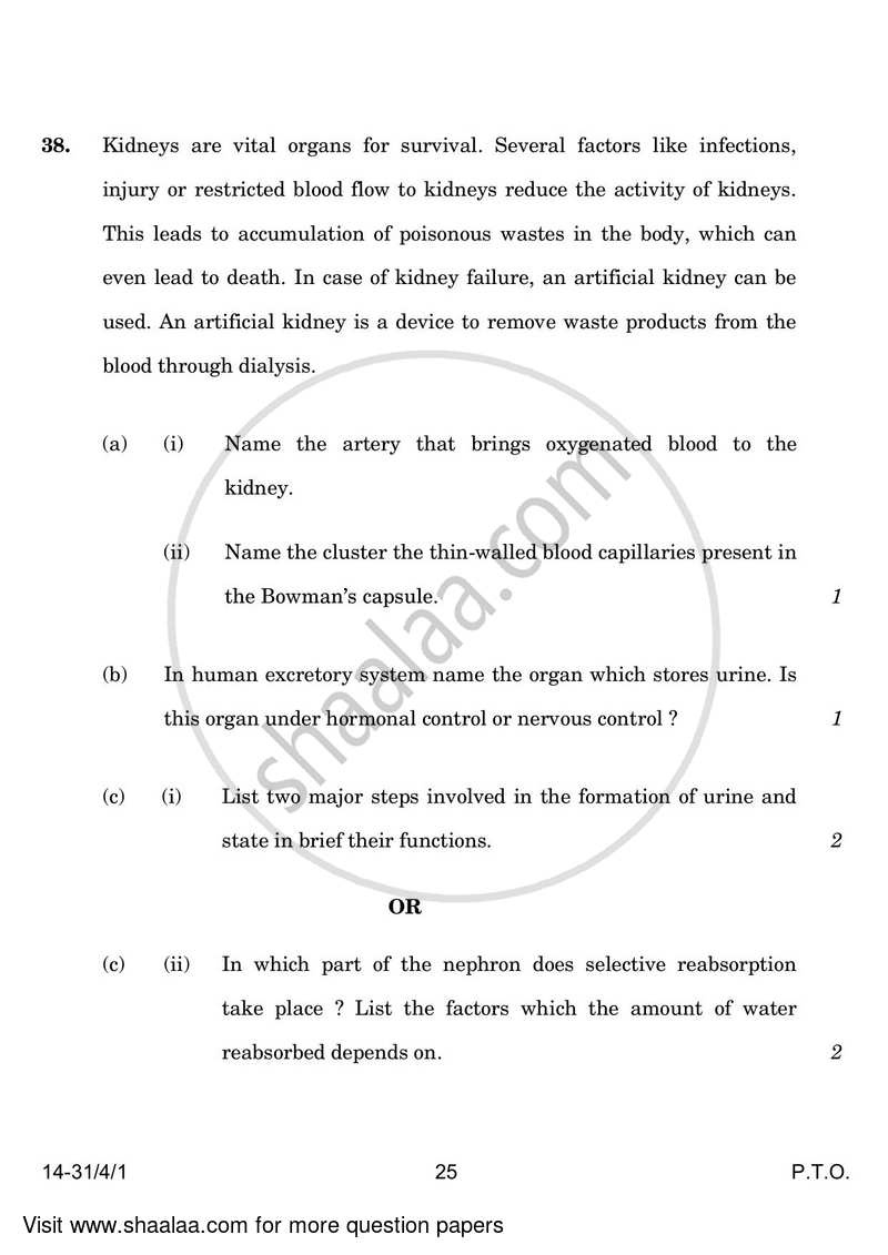 Science 2023-2024 Class 10 - CBSE (Central Board of Secondary Education) question paper with PDF download
